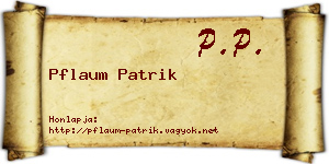 Pflaum Patrik névjegykártya